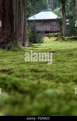 A blanket of moss covers the grounds of Hakusan Heisenji Shrine in Katsuyama, Fukui Prefecture, Japan on Oct. 4, 2016. The shrine, which is better kno Stock Photo