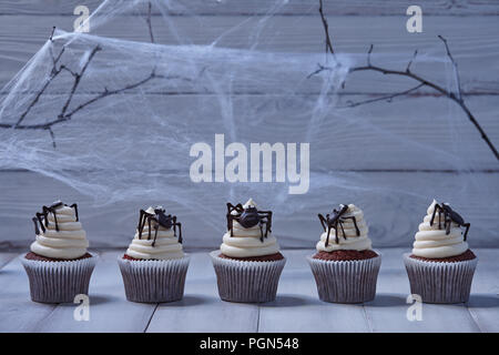 Festive Halloween cupcakes with chocolate spiders in a row on white wooden planks in blue moonlight, spider web background Stock Photo