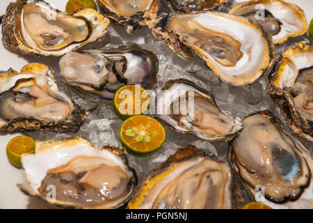 Fresh oysters platter at the seafood restaurant Stock Photo