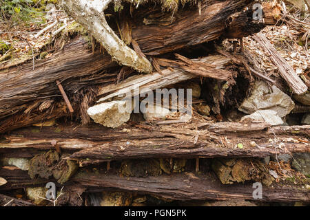 Mad River Logging Era - Remnants of a splash dam along Flume Brook near the old logging Camp 5 site in Waterville Valley, New Hampshire. Splash dams w Stock Photo