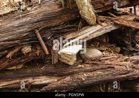 Mad River Logging Era - Remnants of a splash dam along Flume Brook near the old logging Camp 5 site in Waterville Valley, New Hampshire. Splash dams w Stock Photo