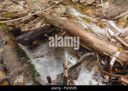 Mad River Logging Era - Remnants of a splash dam along Flume Brook near the old logging Camp 5 site in Waterville Valley, New Hampshire. Splash dams w Stock Photo