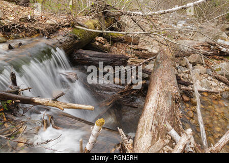 Mad River Logging Era - Remnants of a splash dam along Flume Brook near the old logging Camp 5 site in Waterville Valley, New Hampshire. Splash dams w Stock Photo