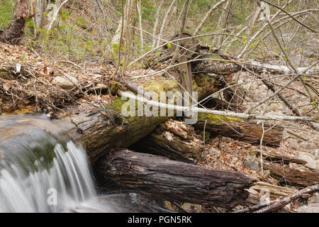 Mad River Logging Era - Remnants of a splash dam along Flume Brook near the old logging Camp 5 site in Waterville Valley, New Hampshire. Splash dams w Stock Photo