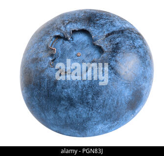 Single fresh blueberry isolated on white background Stock Photo