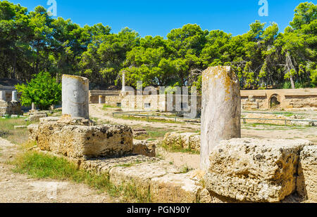 The antique site of the giant amphitheater, preserved in Carthage, surrounded by lush pine forest, Tunisia. Stock Photo