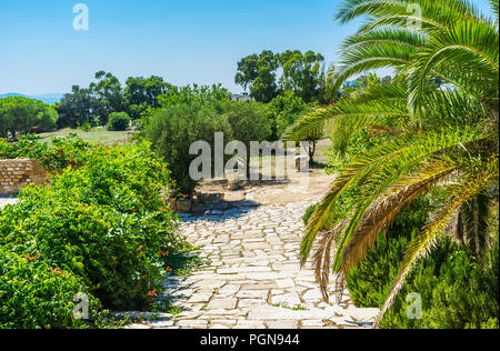 Walk in beautiful green gardens of antique Roman villas archaeological site, Carthage, Tunisia. Stock Photo