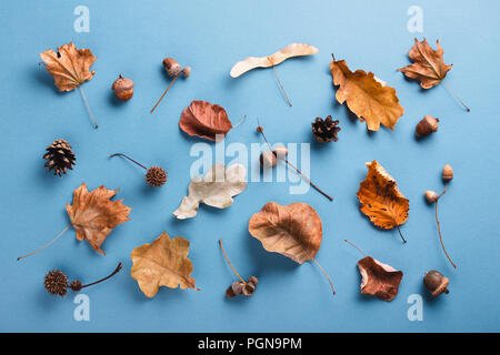 Autumn pattern made of dry leaves on blue background. Top view, autumn card concept. Stock Photo