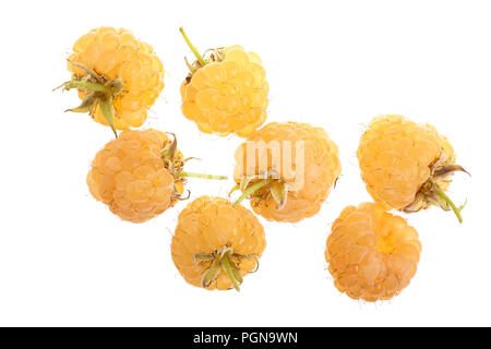Yellow raspberries isolated on white background. Top view. Flat lay pattern Stock Photo