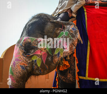 Riding decorated elephant up the hill to the main entrance of Amber Fort in Jaipur, India. Stock Photo