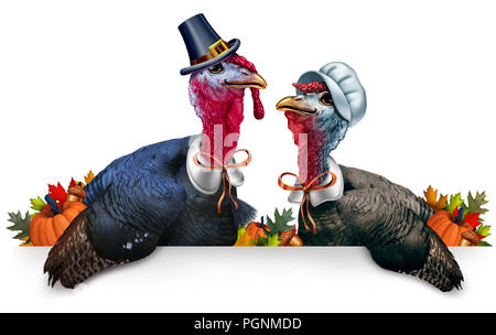 Thanksgiving blank banner celebration as a sign with a turkey tom or gobbler and a hen and  each wearing a pilgrim hat and garment. Stock Photo