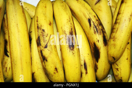 Lot of Bananas in Group at the Grocery. Banana is an edible fruit botanically a berry produced by several kinds of large herbaceous flowering plants i Stock Photo