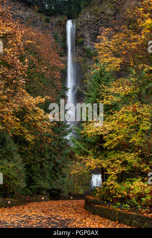 Multnomah Falls in autumn and footpath covered in leaves Stock Photo