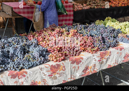 Blue, red and white grapes on table; food market in Mountain View, California Stock Photo