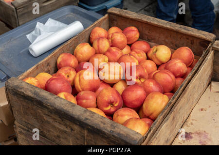 Nectarines in wooden crate; food market in Mountain View, California Stock Photo