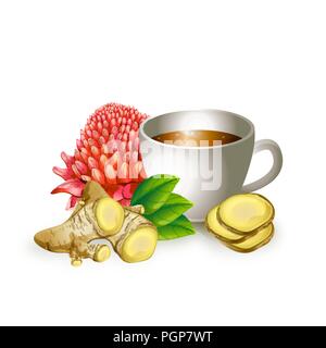 Graphic image of healthy tea cup Stock Vector