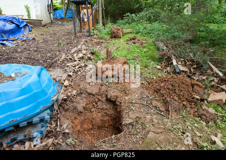 Fence post holes in ground during fence repairs - USA Stock Photo