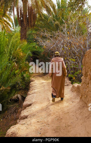 Moroccan man in traditional clothing walks away on a dirt path under palm trees into a lush desert oasis. Location: Draa Valley. Stock Photo