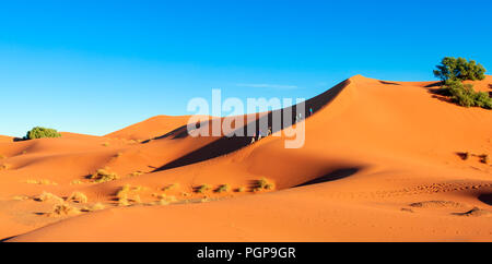 Morocco, a row of hikers climbing up the ridge of a steep orange sand dune. Location, Erg Chebbi in the Sahara Desert. Adventure travel theme. Stock Photo