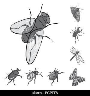 Different kinds of insects monochrome icons in set collection for design. Insect arthropod vector isometric symbol stock  illustration. Stock Vector