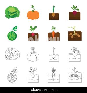 Watermelon, radish, carrots, potatoes. Plant set collection icons in cartoon,outline style vector symbol stock illustration . Stock Vector