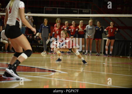 Bowling Green, Kentucky, USA. August 28, 2018 Belmont Faith Cobaugh (2) digs the ball in the match between the Belmont Bruins and WKU Hilltoppers at E.A. Diddle Arena in Bowling Green, KY. Photographer: Steve Roberts. Credit: Cal Sport Media/Alamy Live News Stock Photo