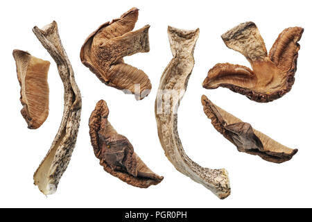A small dry pieces of forest mushroom that grows under the birch. Isolated on white studio macro set Stock Photo