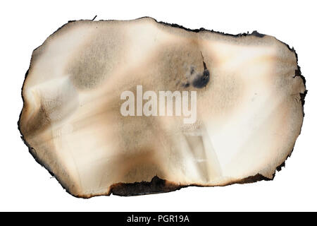 A small banner of yellow aged vintage  paper with burned  black edges. Isolated on white studio shot Stock Photo