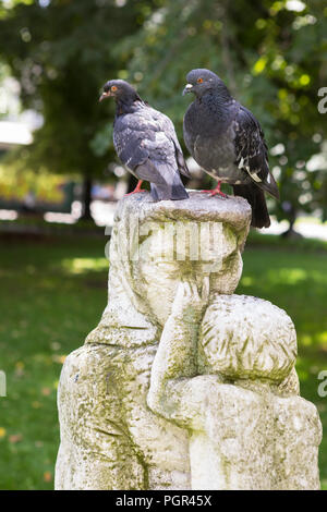 Two pigeons sitting on the head of a sculpture of a woman with child in the park Stock Photo