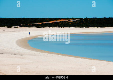 Shell Beach - Shark Bay - Western Australia Stock Photo