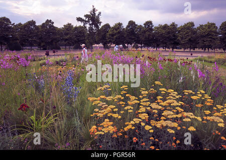 Colourful summer border planting by celebrated garden designer Piet Oudolf at the RHS Hampton Court Palace Garden Festival / Flower Show, Surrey, UK. Stock Photo