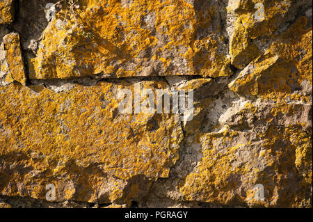 Old dry stone wall with yellow lichens. Stock Photo