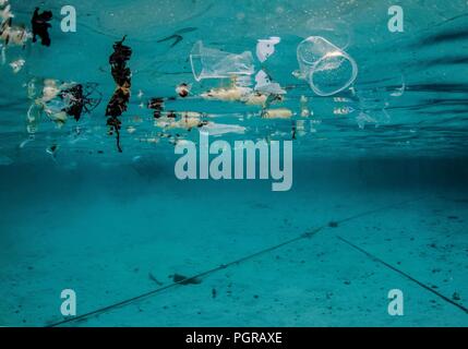 Underwater plastic pollution floating on the surface of the ocean in Egypt Stock Photo