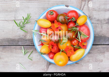 Solanum lycopersicum. Freshly harvested varieties of homegrown heirloom tomatoes with edible flowers, nasturtium and rosemary in enamel dish Stock Photo