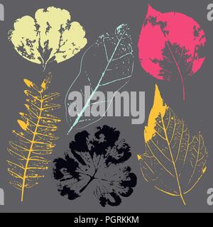 Vector branches and leaves.Hand drawn floral elements. Vintage monochrome botanical illustration. Stock Vector