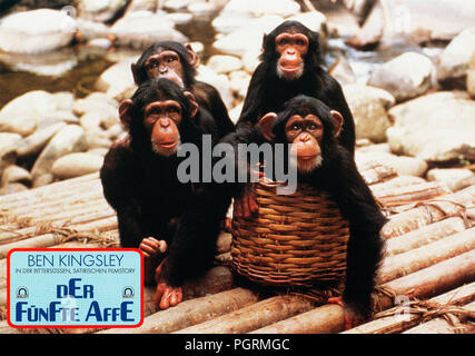 O Quinto Macaco, aka: The Fifth Monkey, aka: Der fünfte Affe, Brasilien/USA 1990, Regie: Eric Rochat, Szenenfoto: Schimpansen Stock Photo