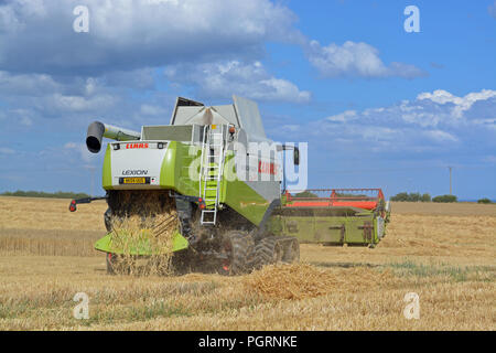 Claas Lexio 560 Combine Harvester Stock Photo