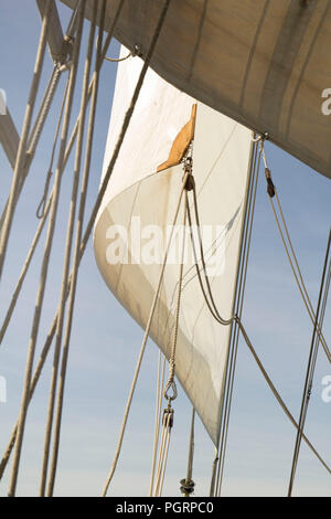 Sails on board the tall ship Lord Nelson Stock Photo