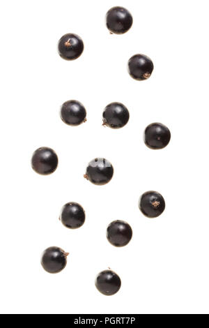 falling black currant isolated on white background. Stock Photo
