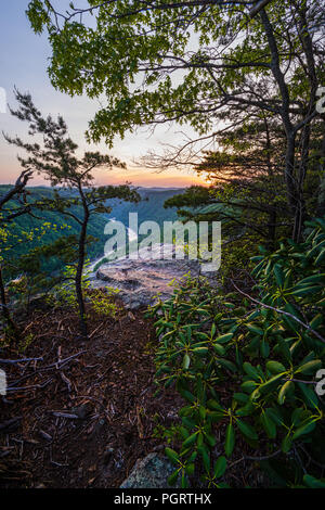 Through the cliffline tree canopy along Beauty Mountain in the New River Gorge of West Virginia, one can glimpse the New River winding its course. Stock Photo