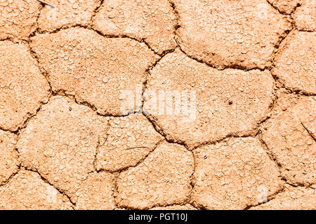 Shallow Depth of Field dry mudflat closeup Wooramel Station Stock Photo ...