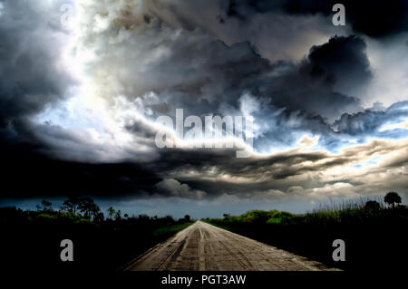 Dark thunder clouds and dramatic storms fill the sky over the swamp in Big Cypress, Florida Stock Photo