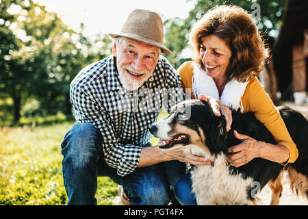 A close-up of a joyful senior couple crouching and petting a dog. Stock Photo