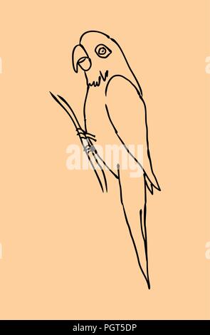 Illustration of a parrot with black outline on beige background Stock Vector