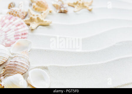 Beautiful frame of clams and starfishes on the background of wavy sea sand Stock Photo