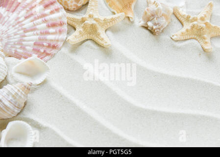 Beautiful frame of clams and starfishes on the background of wavy sea sand Stock Photo