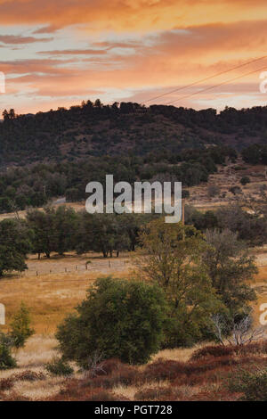 Early morning sunlight on hills in autumn, grove of live oaks foreground, hills and mountains in background against warm color beautiful sunrise sky o Stock Photo