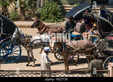 Tourists in horse carriages driven by local Egyptian men to transport people from Nile River tourist cruise ships, Edfu, Egypt, Africa Stock Photo