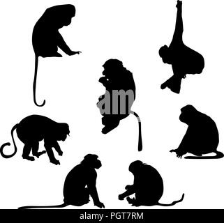 Playful monkey silhouettes over white background Stock Vector