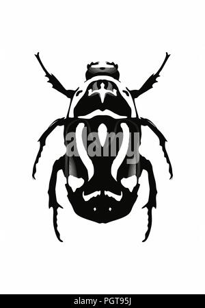 Illustration of a black beetle isolated on white background Stock Vector